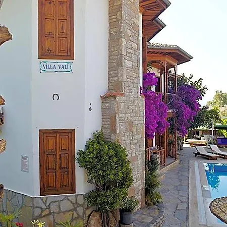 Vali Aparthotel Akyaka (Mugla)