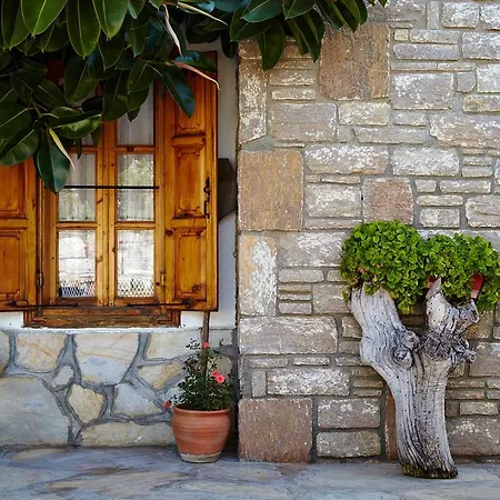 فالي 4* اكياكا